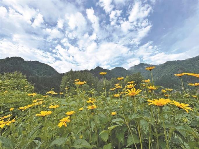 東旭晨韻:高原桃源入畫來