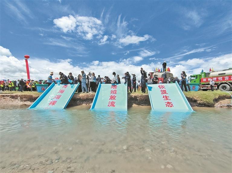 【生態(tài)深一度】一場(chǎng)逆流而上的生命遠(yuǎn)征