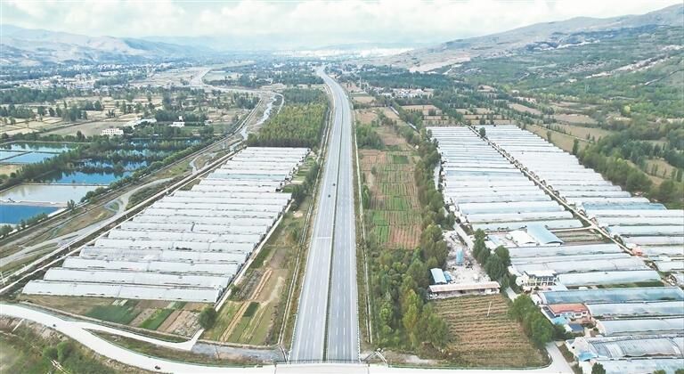 【黨旗在基層一線高高飄揚】“紅色引擎”驅動“綠色產業”量質齊升——海東市互助縣塘川鎮 黨建引領設施農業“雙鏈”融合發展實踐