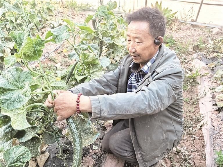 【來自一線的經濟觀察】從“一片空白”到三大園區拔地而起 青海囊謙縣:產業興帶動百姓富