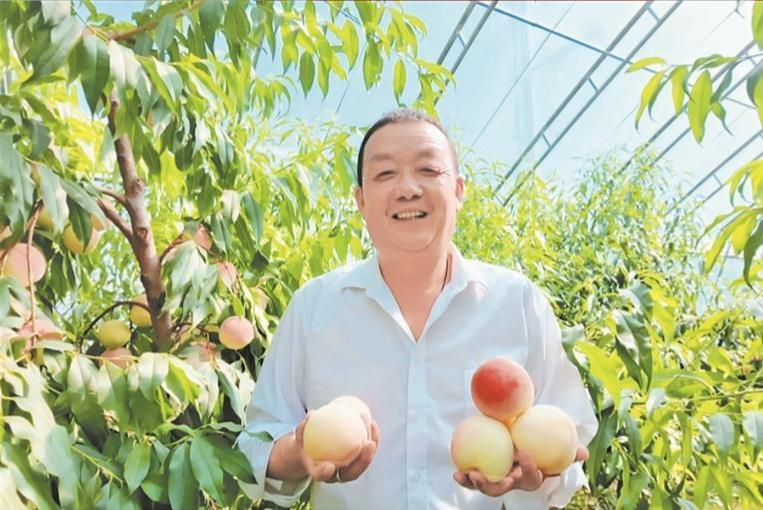 青海樂都區:高原“桃中仙子”激活鄉村振興