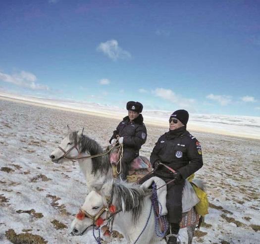 25年,青海稱多民警為牧民找回700多頭牦牛