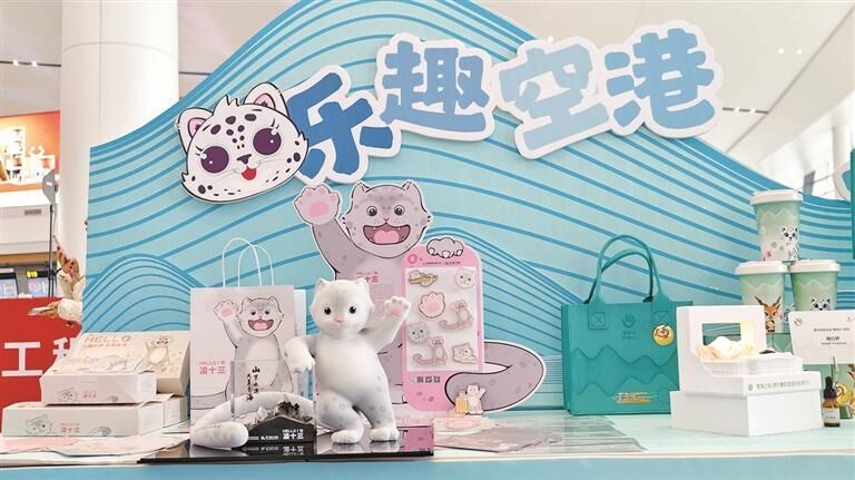 【堅定信心 實干爭先】起飛!世界屋脊新空港