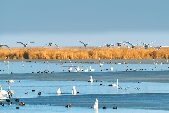 wechat_2025-08-11_065631_897