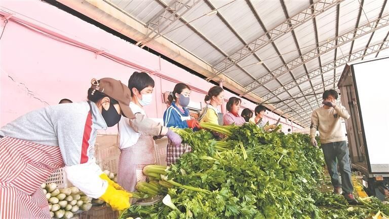 (jin) (sh)ɠ(zhng)ȡຣԭ߲ˡr_(d)ȫ(gu)ʮʡ