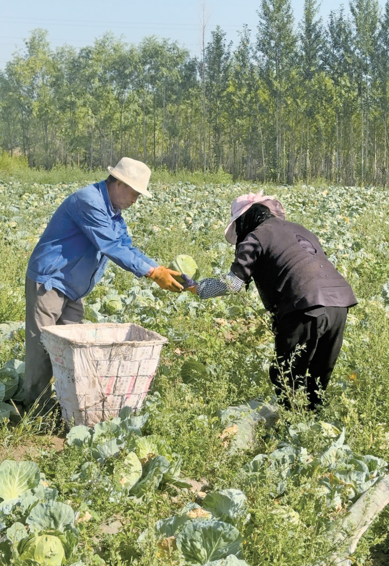 QQ�DƬ20250814063926