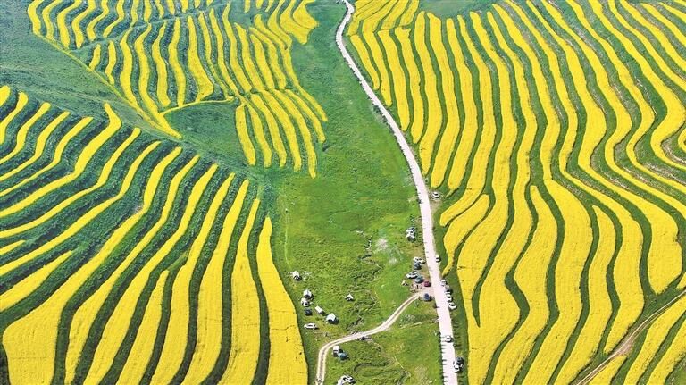 守綠換金“青字號”——“兩山”理念青海實踐系列報道之五