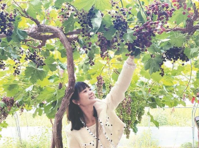 【鄉村振興在青海】葡萄甜,日子也甜!