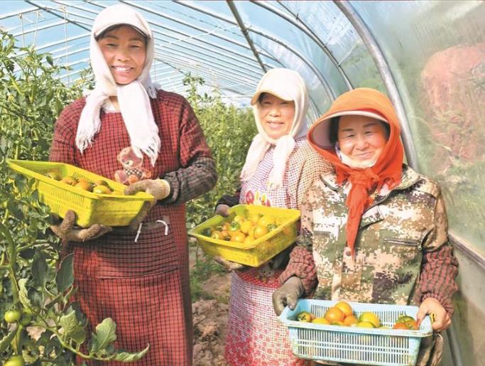 【一線故事】致富花艷 幸福果甜