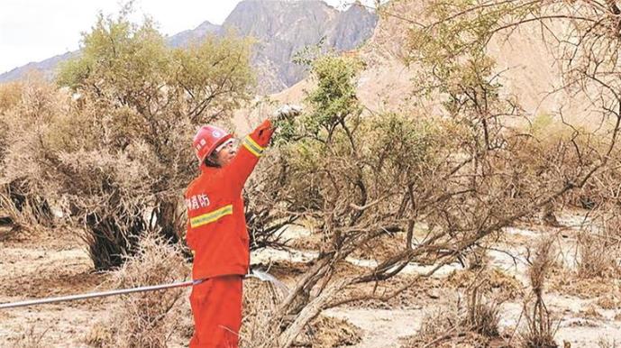 青海海西州:巡護(hù)野生枸杞林 筑牢生態(tài)屏障