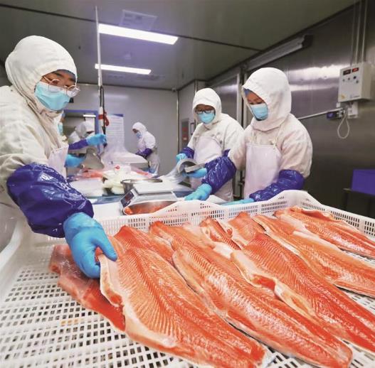 青海出口增速連續(xù)6個(gè)季度居全國第一位 “青字號(hào)”揚(yáng)帆出海背后的成功密碼