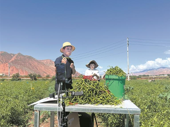 wechat_2025-09-01_063044_251