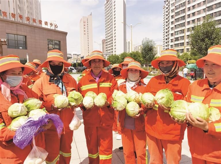 暖心甘藍(lán) 愛心接力——《西海都市報(bào)》“愛心蔬菜接力”公益活動(dòng)圓滿收官 多措并舉 化解滯銷甘藍(lán)難題