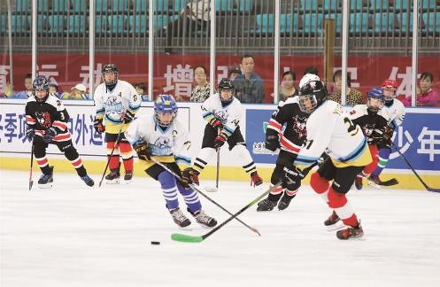 從18到400+ 西寧雪豹冰球隊的5年破冰之路