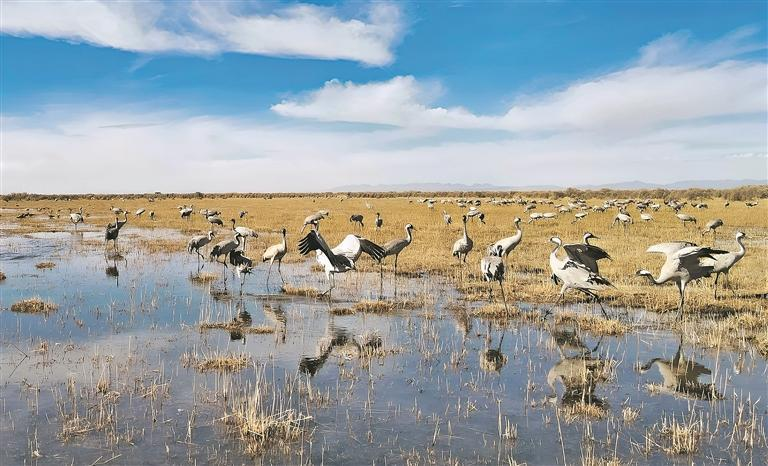 【江源近觀】深情守護,讓一江清水向東流