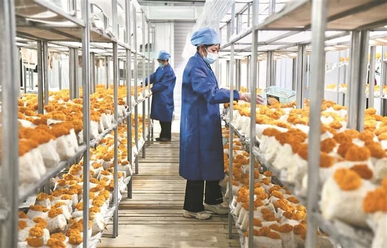 r  I|lչ{СOʩrIaIһP塱ຣh򽛝lչ^졤ͨƪ