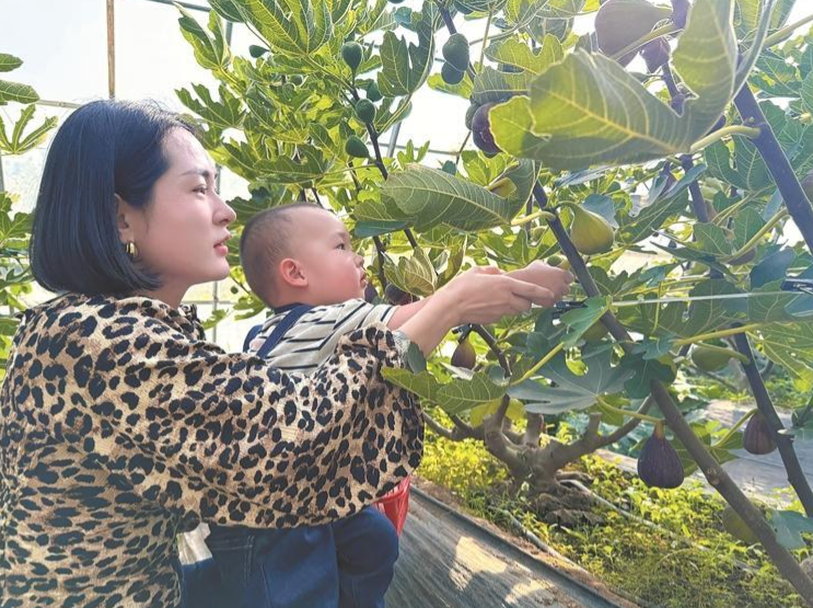 cfebed0b-506d-4331-8164-609ada1597ed