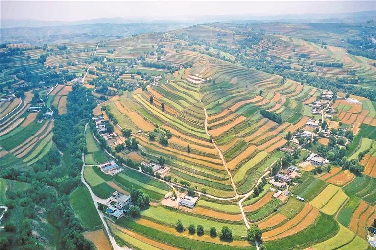 【慶農業豐收 享美好生活】“豐”景無限看高原——寫在第八個“中國農民豐收節”到來之際