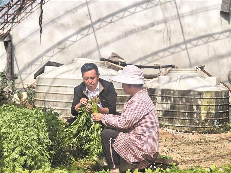 【黨旗在基層一線高高飄揚】為高羌村播下產業發展的種子