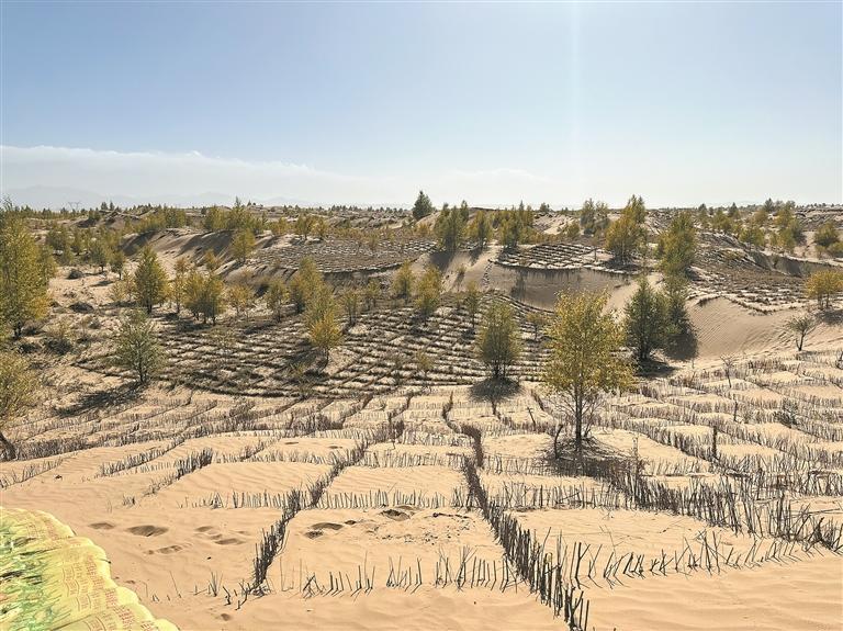 Զ ɠȡ2025ຣʡcB＾ȫ憢