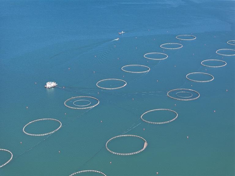 r  I|lչ{Сһl~ġʳ֮á 조ߵءOĵءc{֮