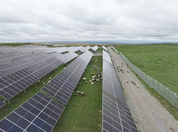 綠電引擎啟動 黃河公司光伏裝機容量增加至1391.82萬千瓦