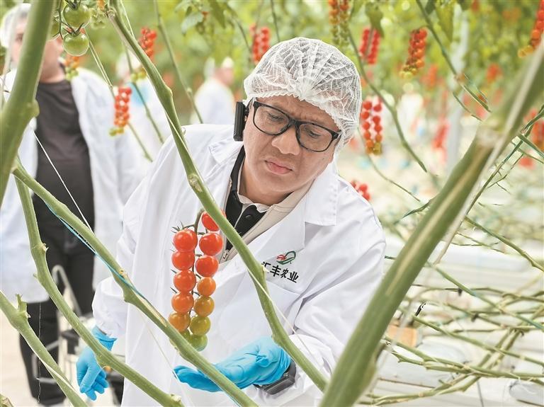 一場(chǎng)共謀發(fā)展的山海之約——印尼專業(yè)集團(tuán)黨干部考察團(tuán)訪青見聞