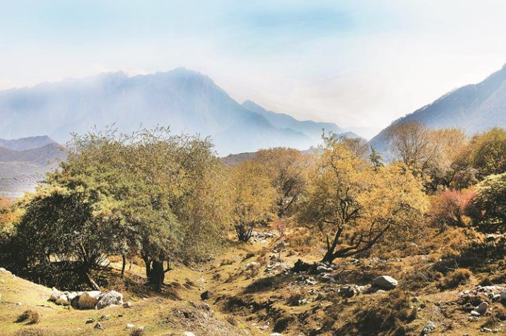 wechat_2025-10-05_065504_446