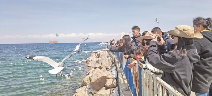 微信截圖_20251009064756