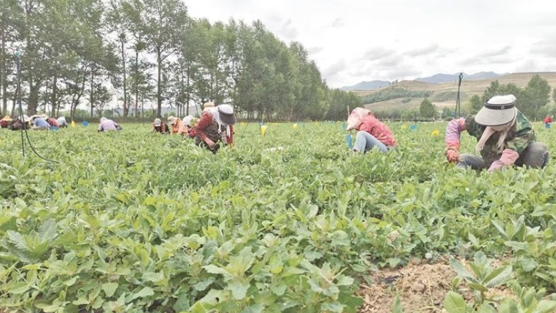 ΢Ž؈D_20251009070912