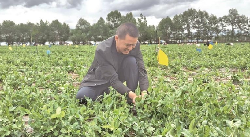 微信截圖_20251009070946