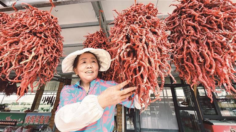 【活力中國調研行】從田間到云端 循化線椒產業的破圈之路