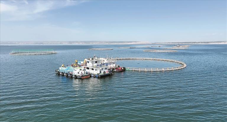 【新時代 新征程 新偉業·高質量發展調研行】“雙冷產業”點亮“高光時刻”——破解青海高原的“清涼”密碼(下篇)