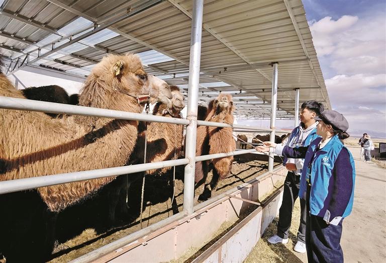 q tɫtLe ԭЌW̽Mຣm