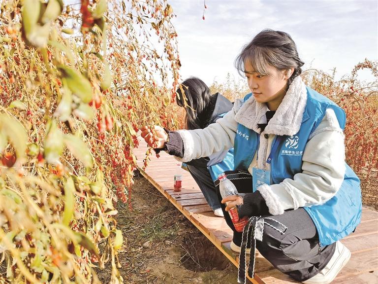 ЌW(xu)F(tun)M(jn)ຣm ɫ޼MҷĽ̿ƕ