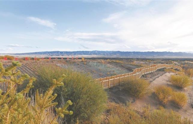 【“十四五”高質量發展答卷】青海貴南:用生態底色繪就美麗畫卷