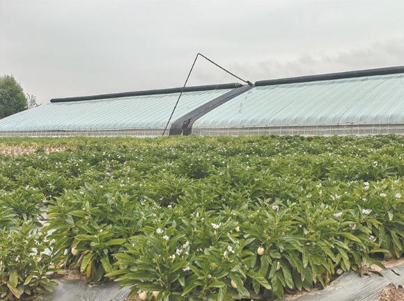 r  I|lչ{СһwʽĚW֮á조ߵءOĵءc{֮