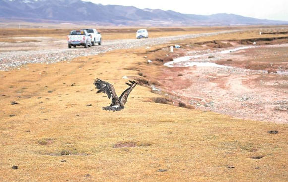 ׷ŚwEBɽҹ@x^зŚwϡҰСӛ