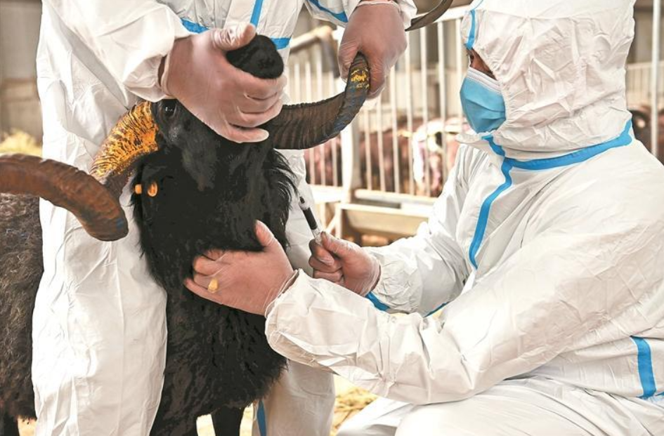 wechat_2025-10-27_060210_738