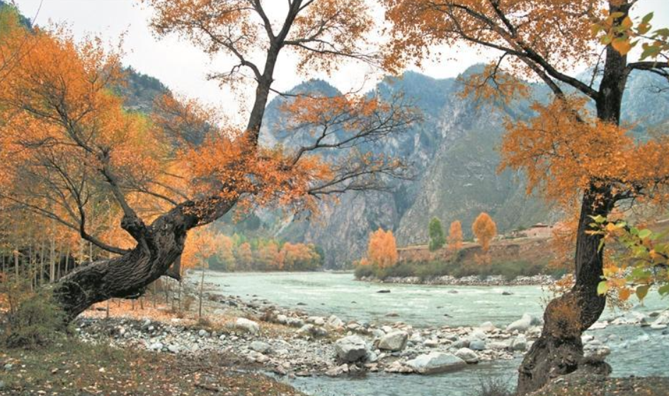 【生態(tài)深一度】漫山林海攜綠來——互助北山林場生態(tài)觀察