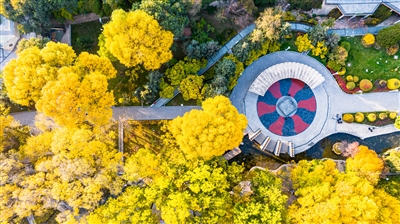 【遇見美麗西寧】今年秋色分外濃