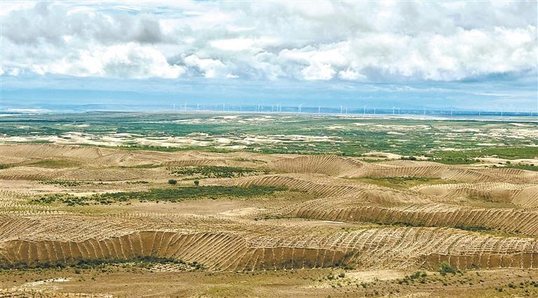 戰(zhàn)沙一線,青海按下綠色“加速鍵”——青海全力推進“三北”工程攻堅戰(zhàn)系列報道之一