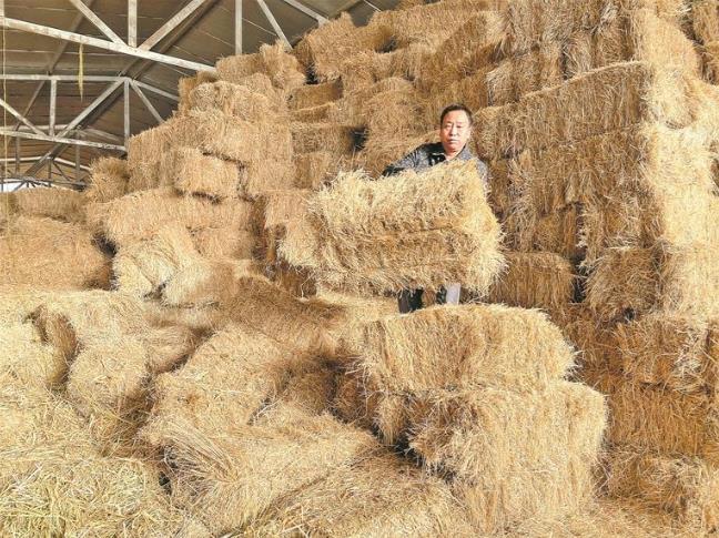 【堅定信心 實干爭先·奮力打好“十四五”收官戰】青海澤庫縣:筑牢牦牛越冬“防護墻”