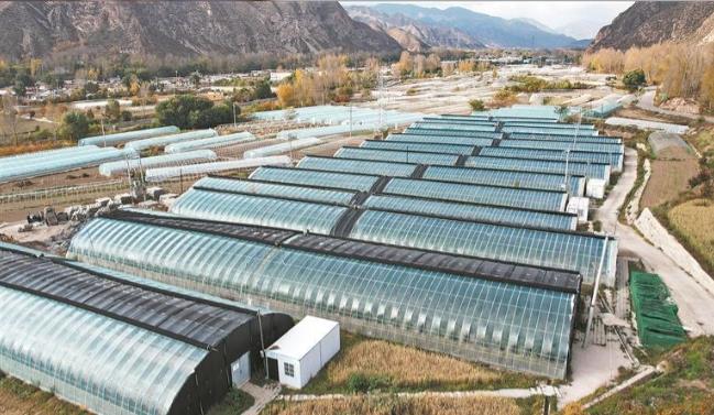 【鄉村振興在青海】鄉村振興的“幸福拼圖”