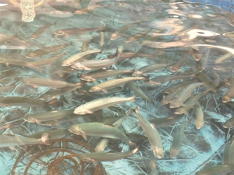 微信圖片_20251110055605_222_174