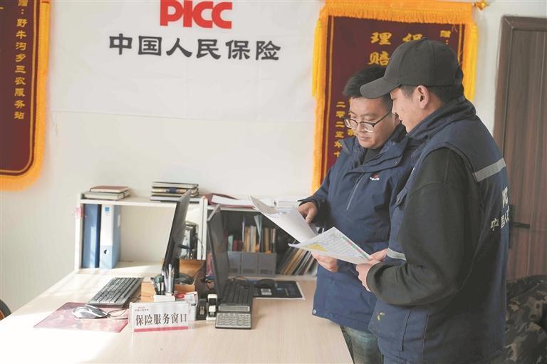 祁連山下政策暖 牧歌嘹亮富路寬