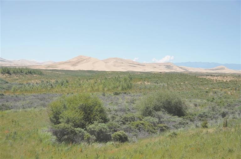 一幅綠野盈洲的壯美畫卷