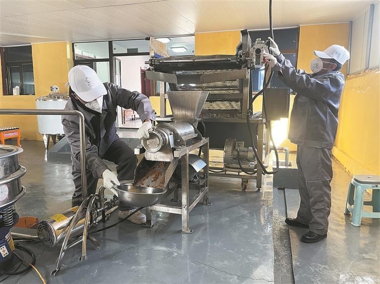 【新時代 新征程 新偉業·高質量發展調研行】“三駕馬車”拉動高原小城蝶變—— 青海縣域經濟發展觀察·達日篇