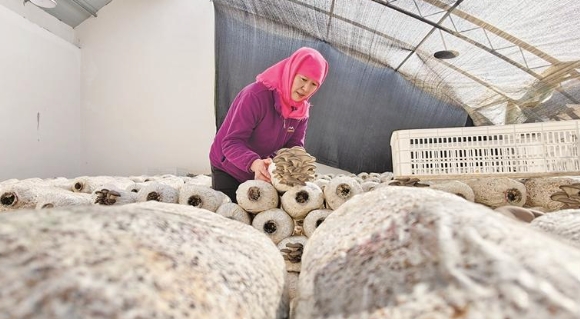 0b98e40b-1898-49d7-80dc-494dd9e2bb8a