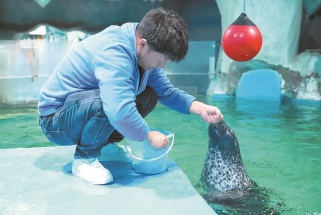 青藏高原首只人工繁育斑海豹享受冬日溫暖